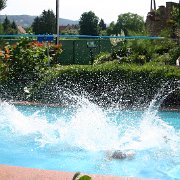 IMG 5133