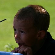 IMG 5166