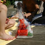 IMG 5206