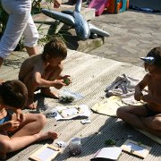 IMG 5226