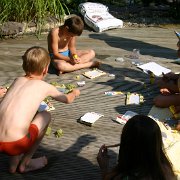 IMG 5231