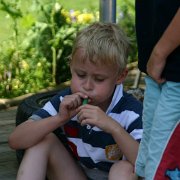 IMG 5261