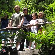IMG 5313