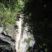 IMG 5316
