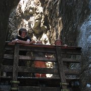 IMG 5323