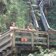 IMG 5325