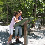 IMG 5331