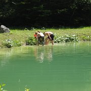 IMG 5337