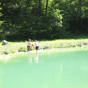 IMG 5338
