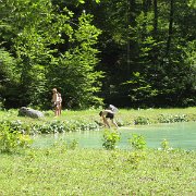 IMG 5341