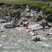 IMG 5350