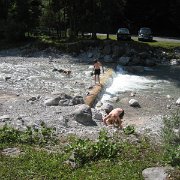 IMG 5353