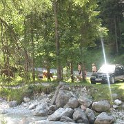IMG 5354