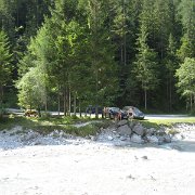 IMG 5355