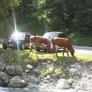 IMG 5357