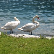 IMG 5369