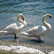 IMG 5370