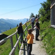 IMG 5390
