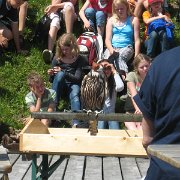 IMG 5396