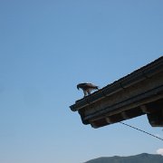 IMG 5402