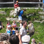IMG 5407