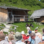 IMG 5408