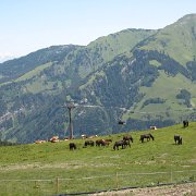 IMG 5415