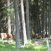 IMG 5418