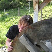IMG 5427