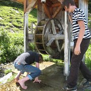 IMG 5428