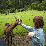 IMG 5446