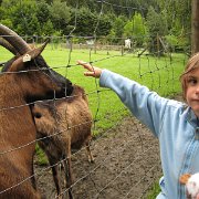 IMG 5447