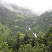 IMG 5451