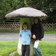 IMG 5452