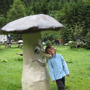 IMG 5455
