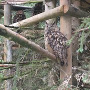 IMG 5457