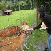 IMG 5460