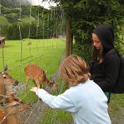 IMG 5461