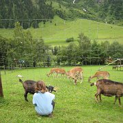 IMG 5462