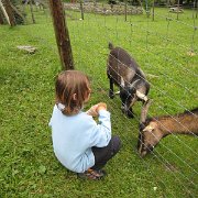 IMG 5464