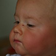 IMG 6133