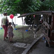 CIMG7282
