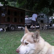 CIMG7291
