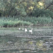 CIMG7349