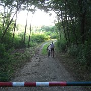 CIMG7355