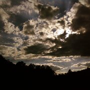 IMAGE 325