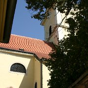 IMG 6507