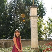 IMG 6517