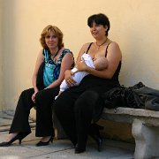 IMG 6531