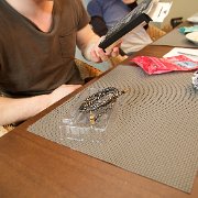 IMG 5304